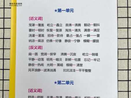 从“忽视”到“重视”:这些反义词助你表达更精准