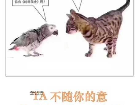 糊里糊涂的反义词是什么?——清清楚楚、明明白白解析