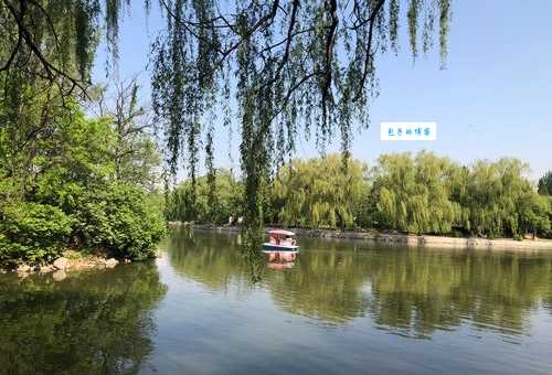 “春色满园”:解读其蕴含的盎然春意与文化韵味