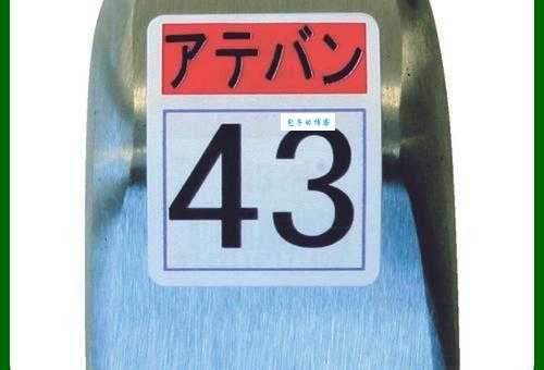 0043