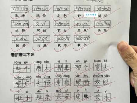 鸣啭的拼音是什么?小学语文老师教你正确读音!
