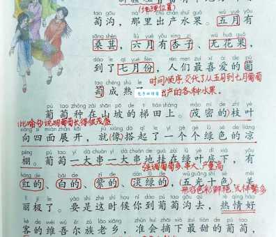 枝干的拼音是什么?3个技巧帮你轻松记住!