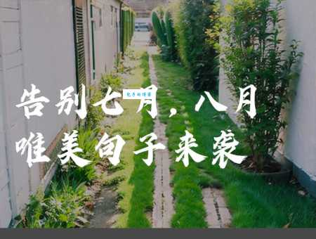 描写八月的唯美句子有哪些?这些真的美到我了!