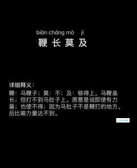 彻底弄懂鞭长莫及是什么意思?包含例句和出处