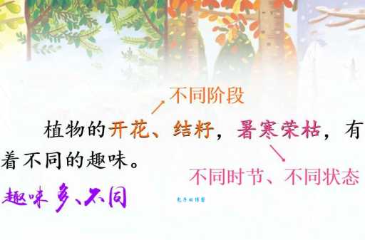 暑寒荣枯的含义是什么?一文读懂