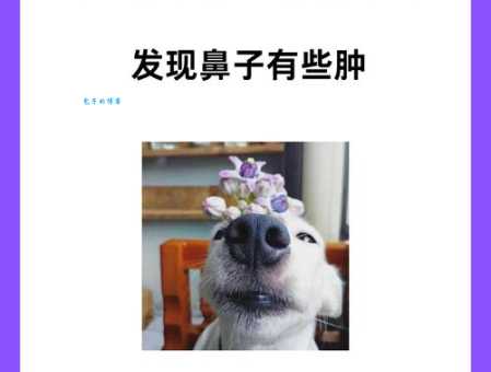 彻底搞懂“嗤之以鼻”的含义和用法,例句详解