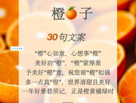 “有志者当效此生”是什么意思?不同解读及个人感悟
