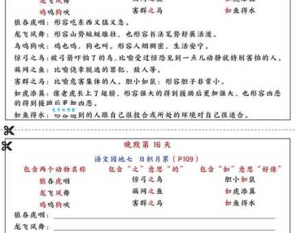 夙兴夜寐这个词怎么理解?带你快速了解含义!