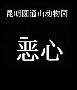 生拉硬拽是什么意思?日常口语中经常这样说!