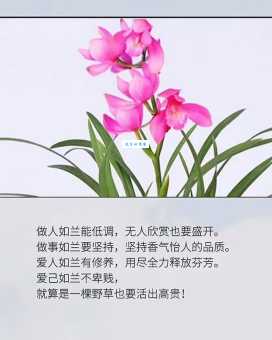 想知道怡然自得是什么意思？看这里就明白！
