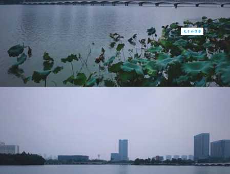 意犹未尽什么意思?别再用错了,快来看看吧!