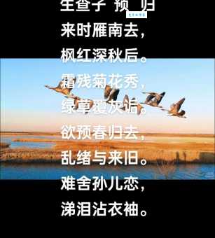 断雁孤鸿的意思是啥?古诗文里的常客!