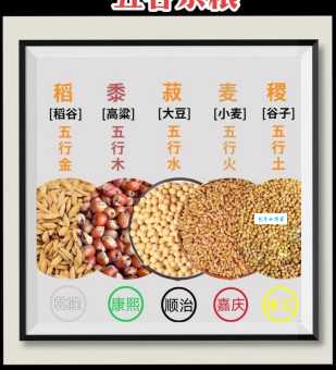 五谷不分是什么意思?看完这篇你就明白了!