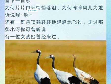 都说闲云野鹤,闲云野鹤到底是什么意思?