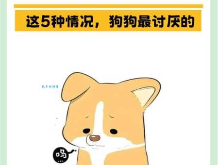 还不知道安身之狗是什么意思?快看这里!