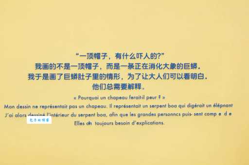 阅历的真正含义是什么?深度解读阅历的丰富内涵