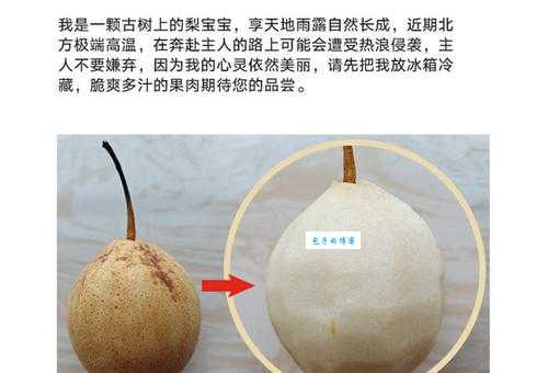 鸭梨是什么意思?鸭梨的含义、品种及文化解读