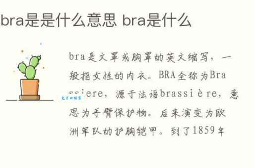 bra是什么时候意思?文胸的英文缩写你了解多少?