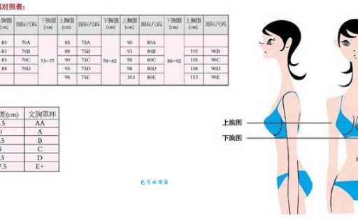 bra是什么时候意思?文胸的英文缩写你了解多少?