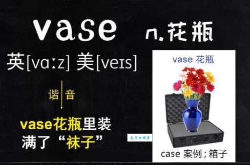 英文单词vase是什么意思?教你正确发音和使用