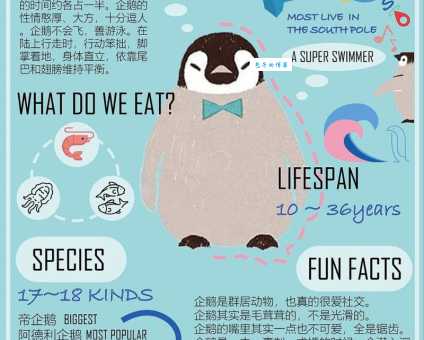企鹅是什么意思?探秘企鹅的生物特征和文化内涵。