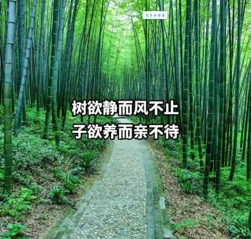 树欲静而风不止是什么意思？详解成语出处及含义