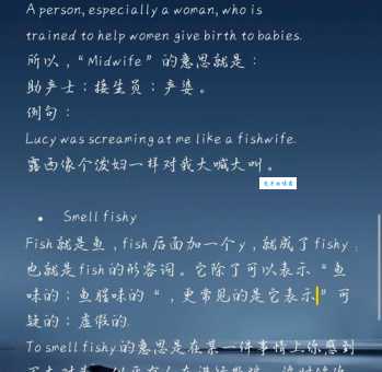 快速了解wife是什么意思?wife的常见例句