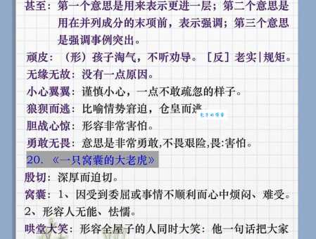 轻松搞懂“搜集”:意思、例句及相关词语