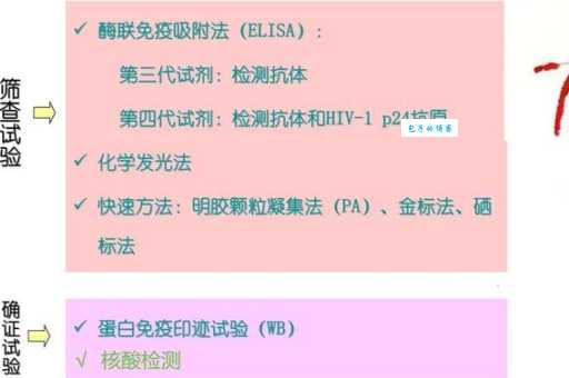 EGD含义大揭秘:从电子政务到医学检查
