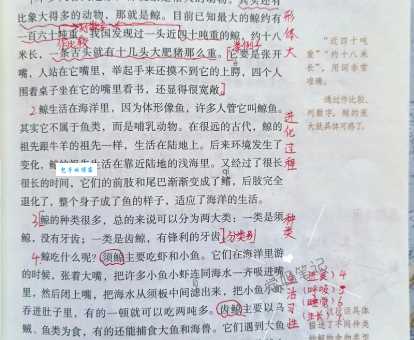 探寻是什么意思？简单解释探寻的词义和例句