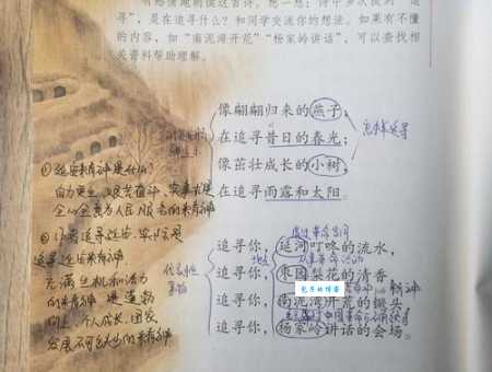 探寻是什么意思？简单解释探寻的词义和例句