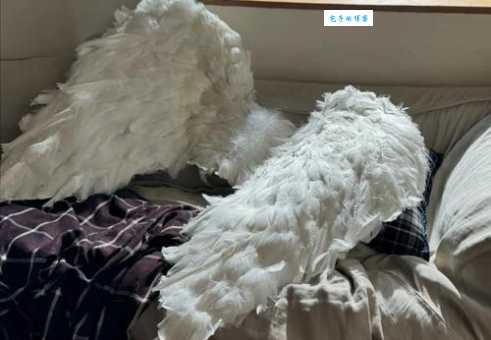 angel的中文意思是什么?带你了解angel的多种含义和用法