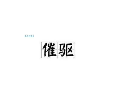驱赶的驱是什么意思?带你了解驱字的多种含义