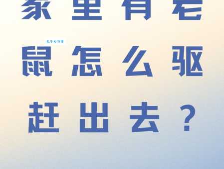 驱赶的驱是什么意思?带你了解驱字的多种含义