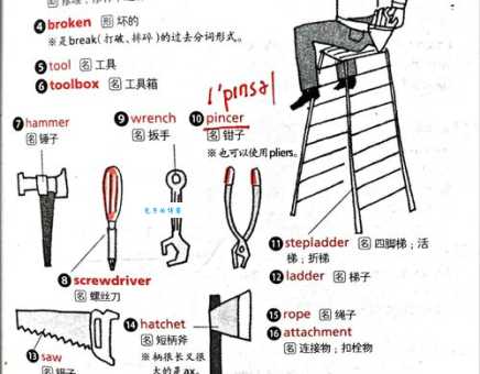 house英文单词详解:含义、发音及例句