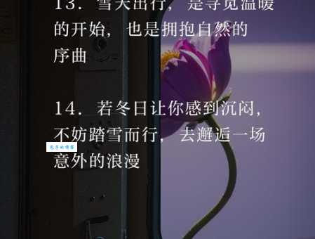 天冷抖音很火的短句文案：温暖你的冬天