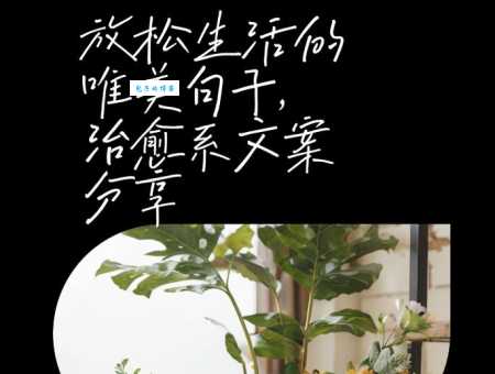 气质干净有仙气的句子:唯美治愈系文案,让你瞬间变仙女