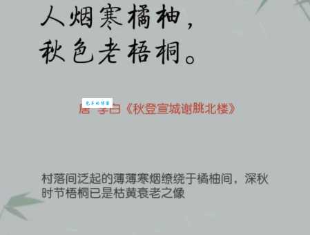 秋思诗意：品味唐诗里的秋日乡愁，感受诗人浓浓的思乡之情