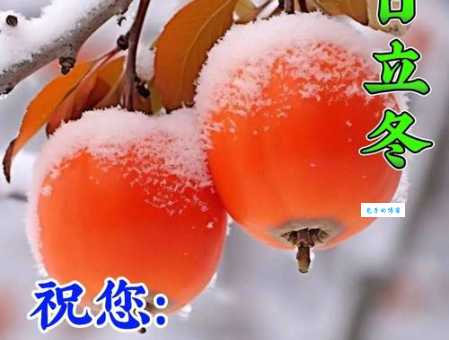 立冬8字短句问候，愿你冬天健康快乐！