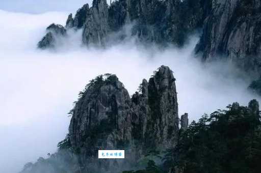 蝉的诗意：解读诗歌里蝉的鸣叫与人生