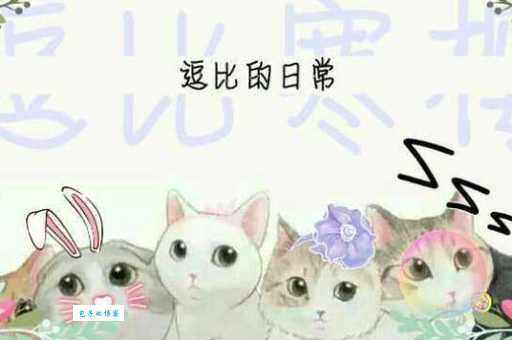 吊丝是啥意思?网络流行语“吊丝”深度解读