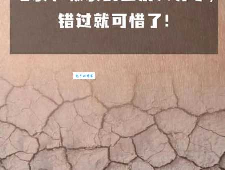 龟裂是什么意思?皮肤龟裂和土地龟裂有何区别?