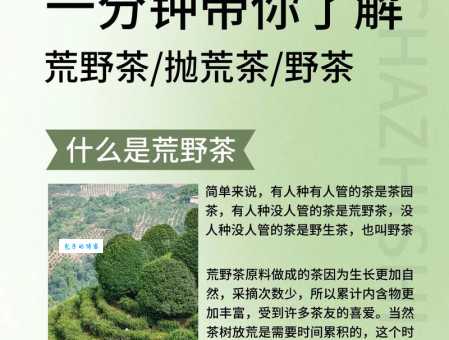 荒野的意思是什么?一文读懂荒野的含义
