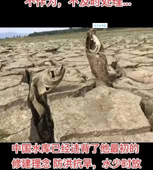 旱灾的意思是什么?简单解释旱灾的危害