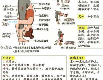 屈指的意思是什么?详解屈指的含义及用法