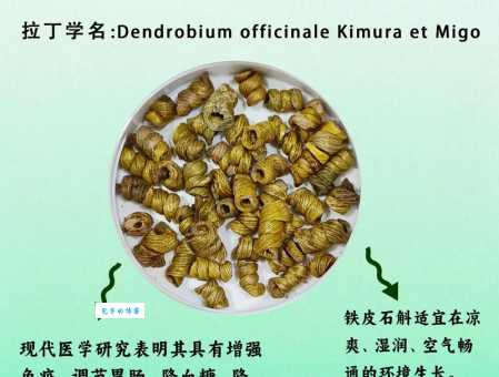 斛珠是什么意思?详解斛珠含义及词牌名由来