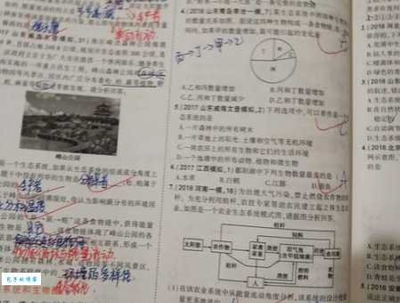 张目是什么意思及用法?举例说明张目如何运用