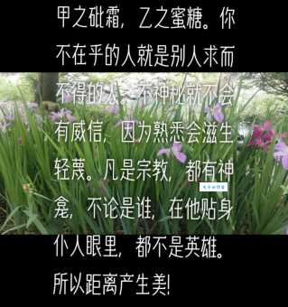 轻蔑的含义是什么?带你了解轻蔑一词的真正意思