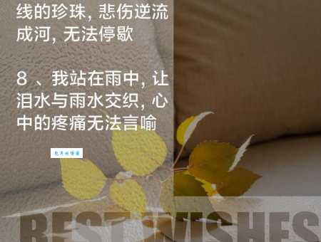 悲哀的意思是什么?详解悲哀的含义及例句