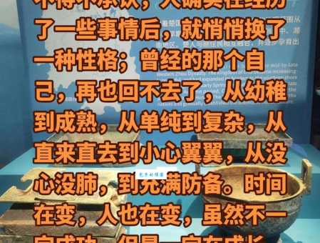 经历的意思是什么?详解经历的多种含义及用法